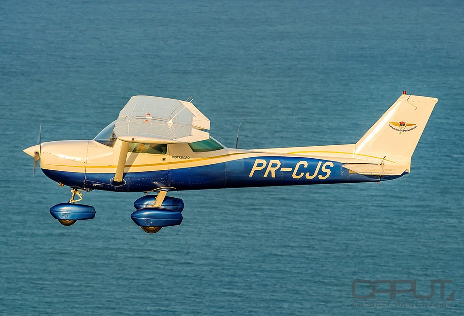 Customização de Pinturas Para Aeronaves