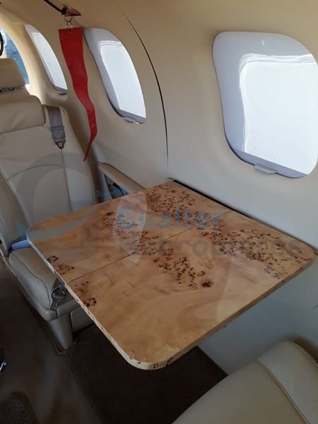 TBM 850 2010 TBM 850 2010