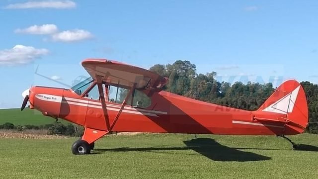 Piper PA-18-125 SuperCub 1954