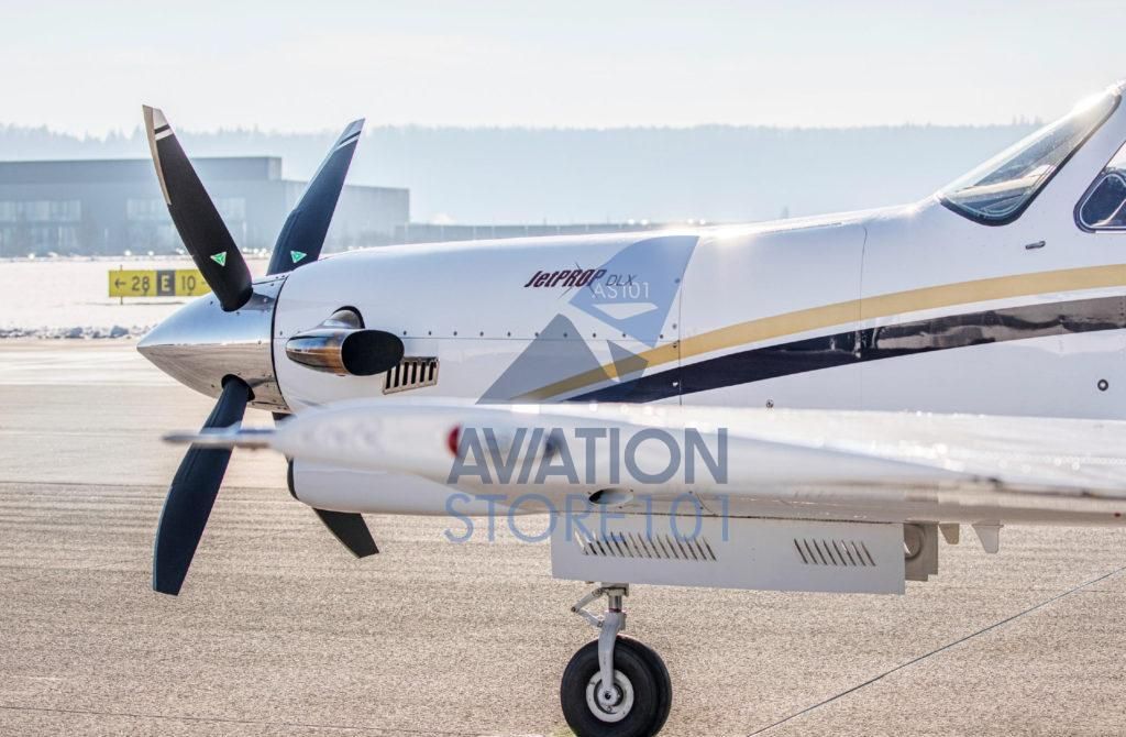 PIPER JETPROP DLX PA-46 | Ano 2008