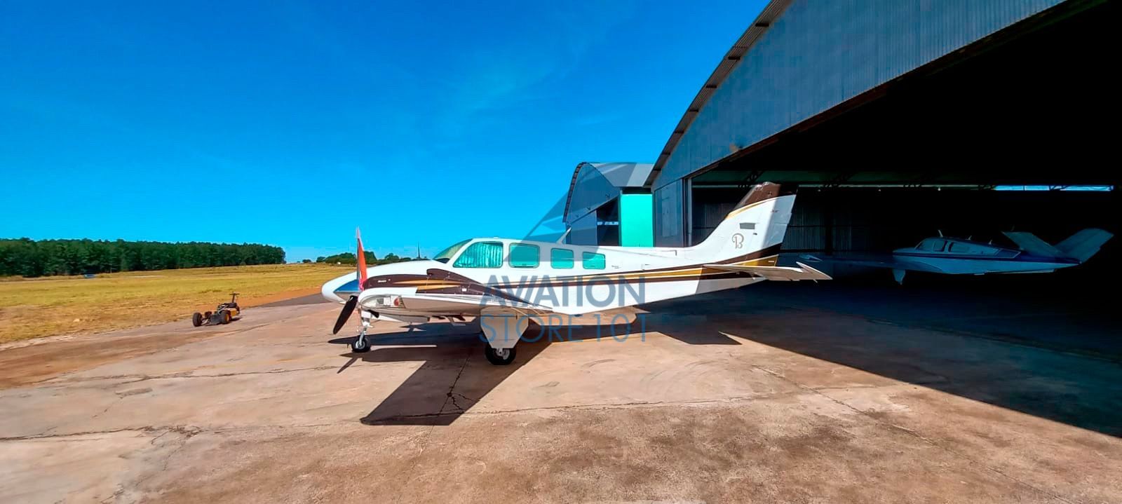 BEECHCRAFT BARON 58 1979