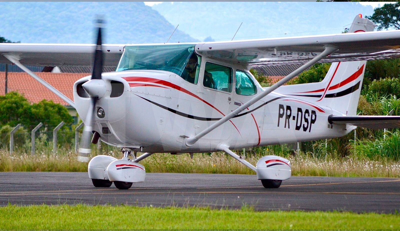 CESSNA 172 N 1980