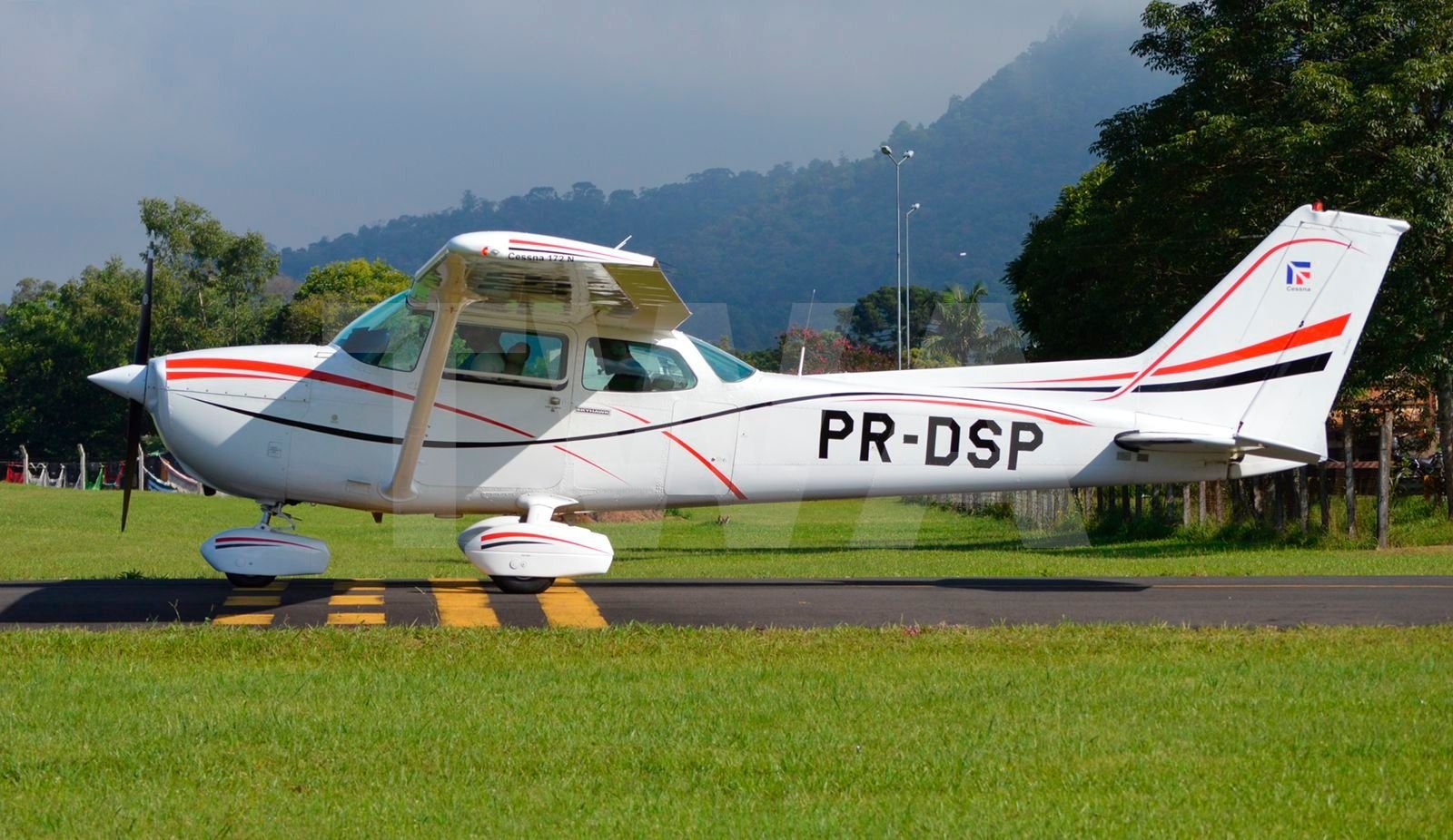 CESSNA 172 N 1980