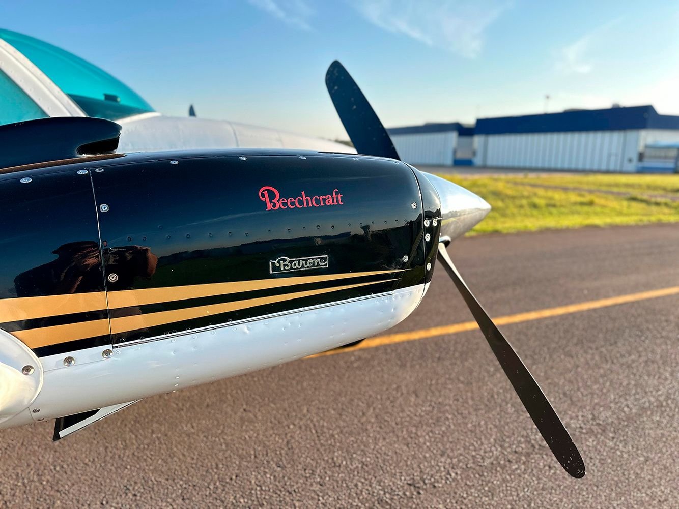 BEECHCRAFT BARON B58 1979
