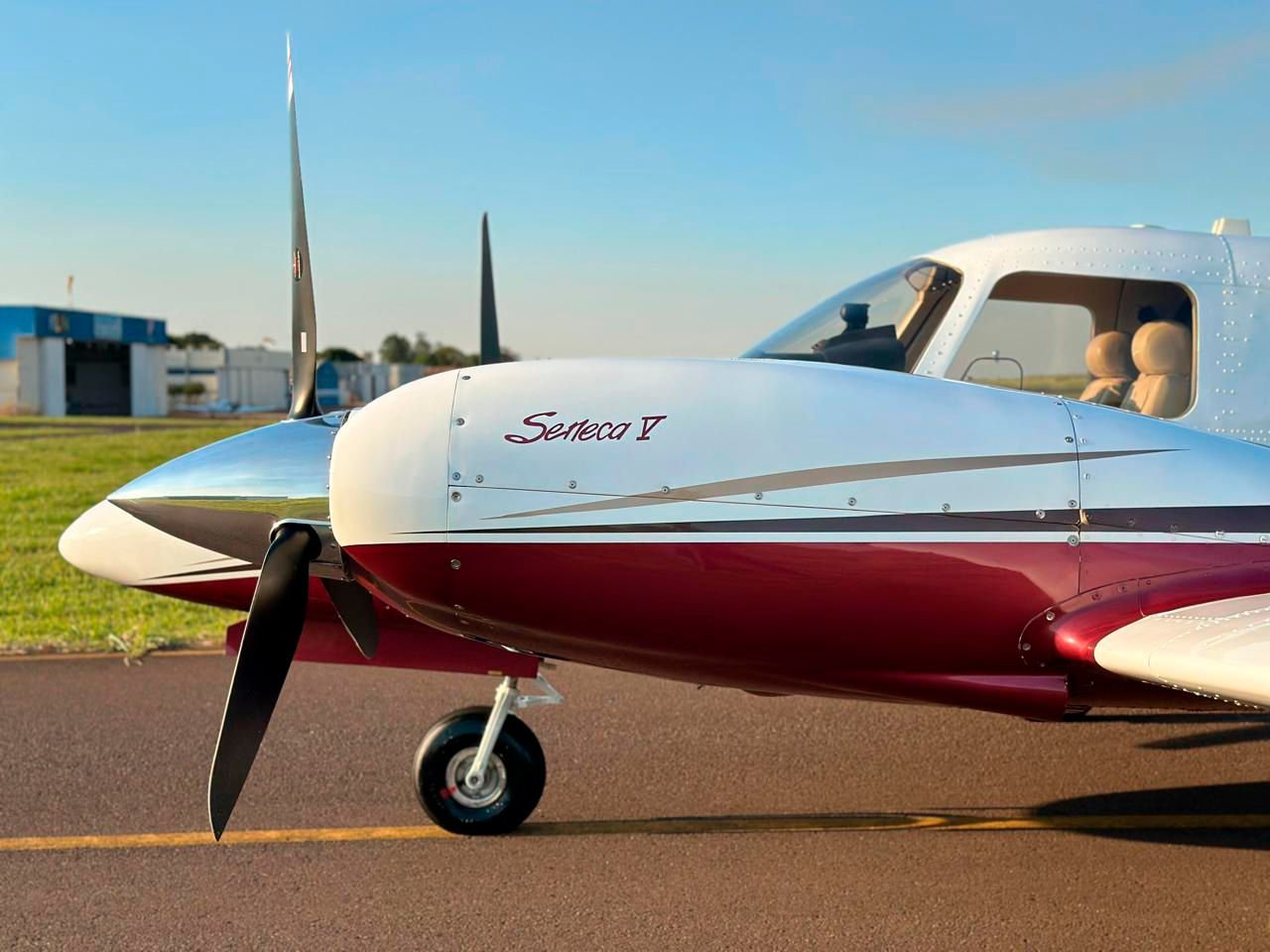 PIPER SENECA V 2009