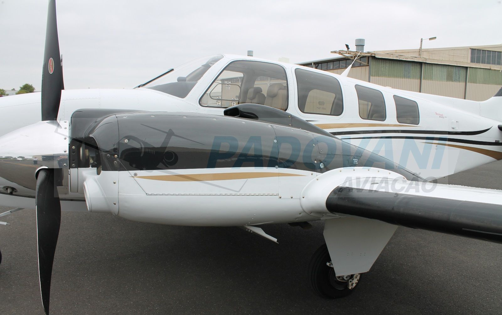 BEECHCRAFT BARON G58 2011