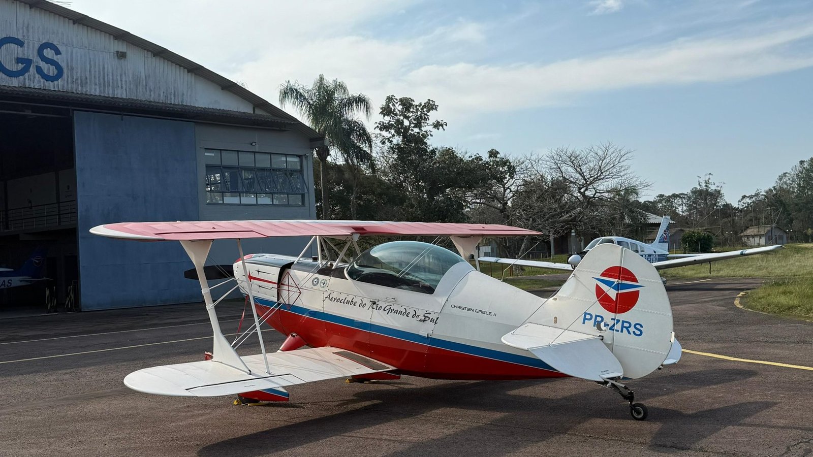 CHRISTEN EAGLE II 1989