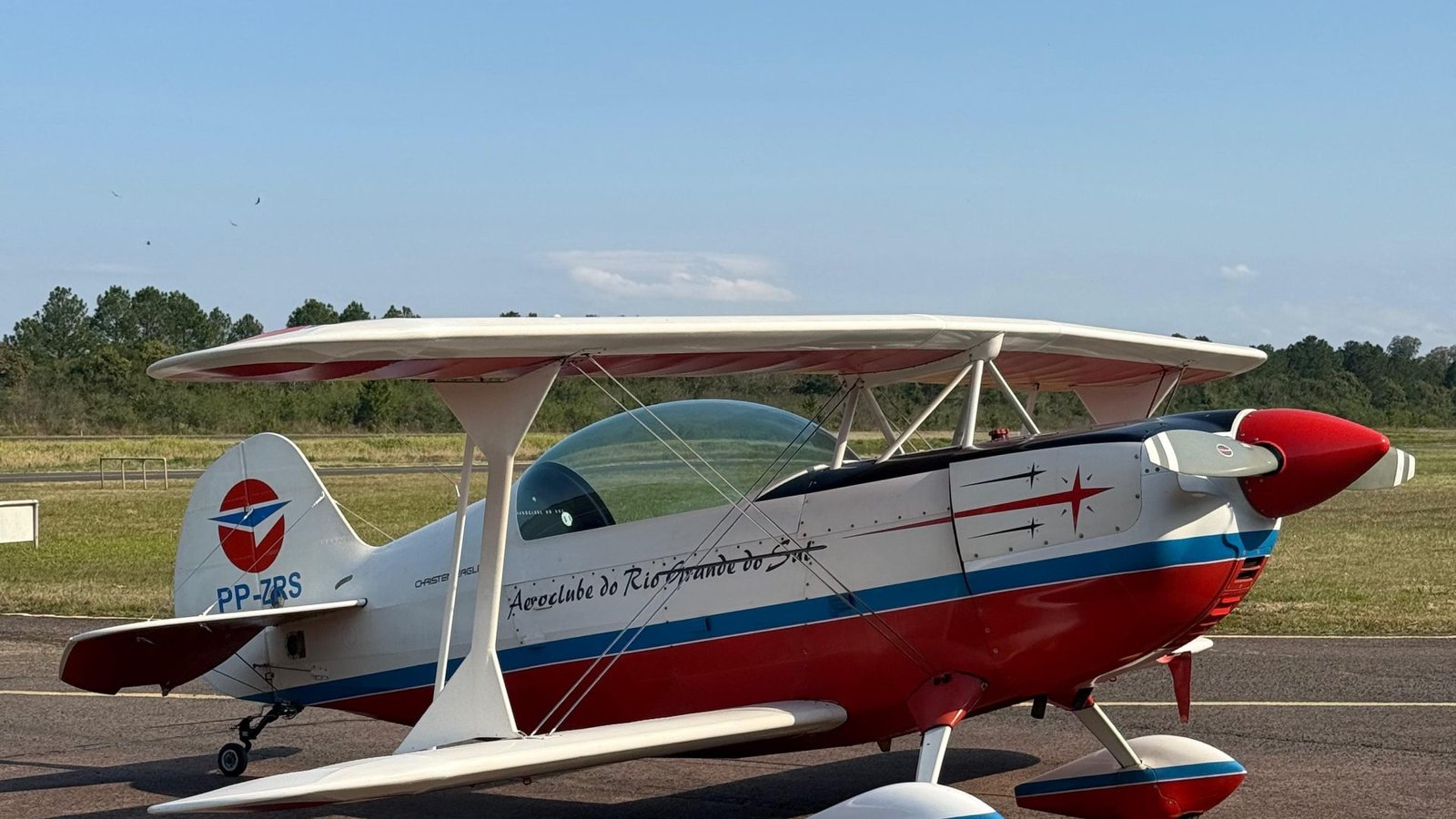 CHRISTEN EAGLE II 1989