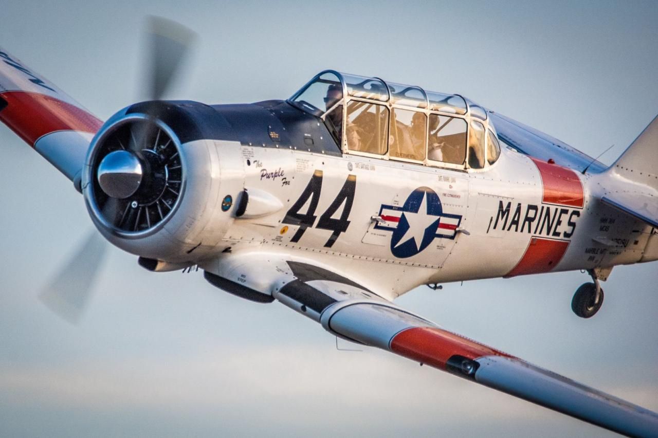 T6 Clássico à venda