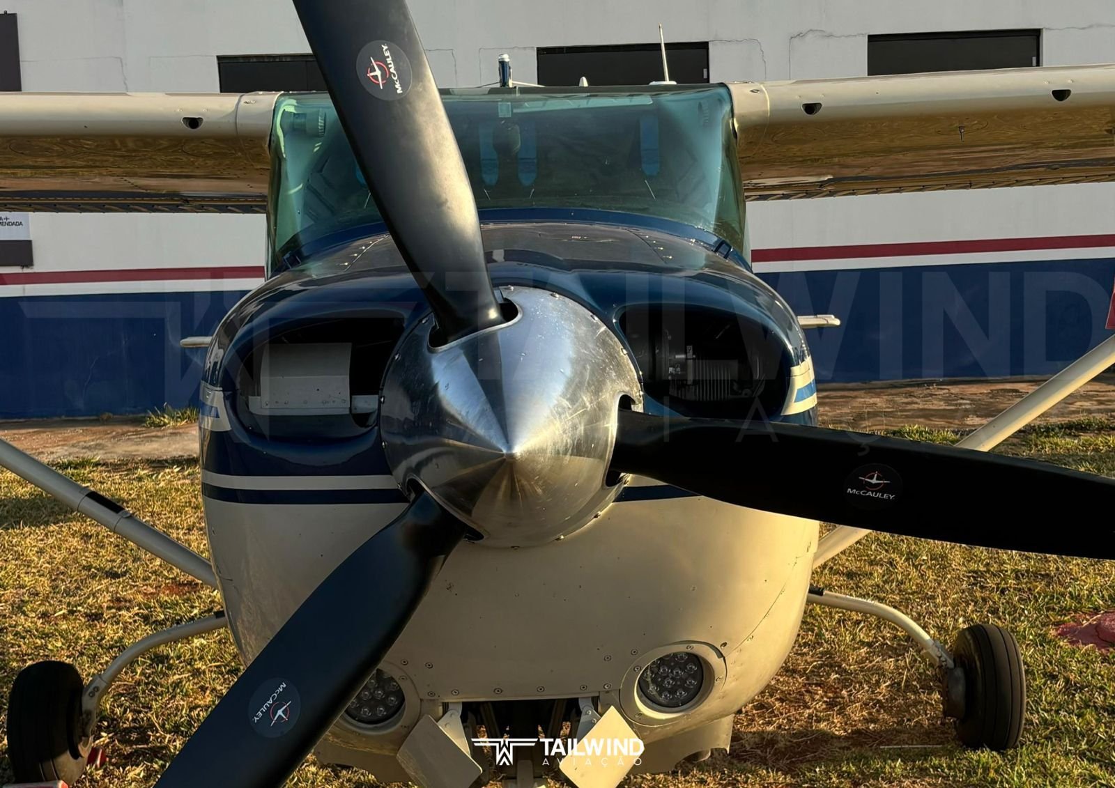 CESSNA 182 SKYLANE 1981