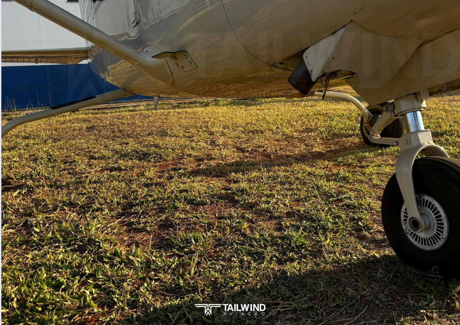 CESSNA 182 SKYLANE 1981