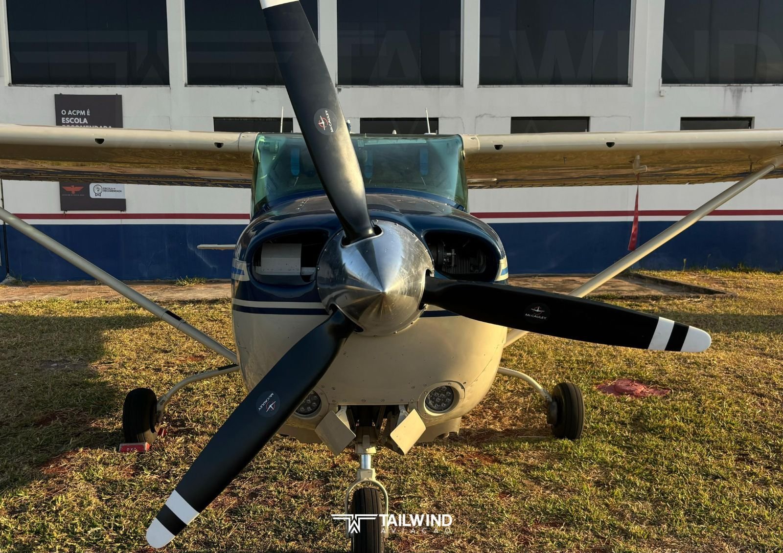 CESSNA 182 SKYLANE 1981