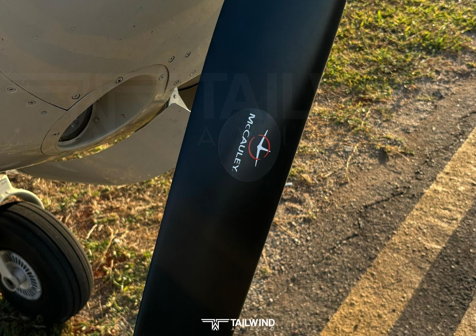 CESSNA 182 SKYLANE 1981