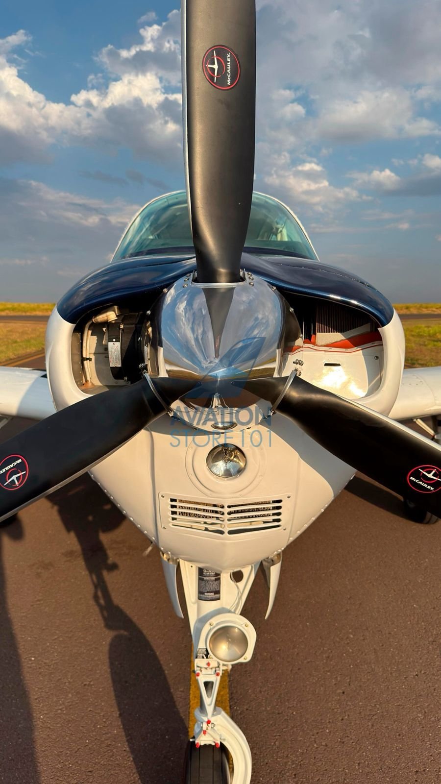 BEECHCRAFT BONANZA A36 1989
