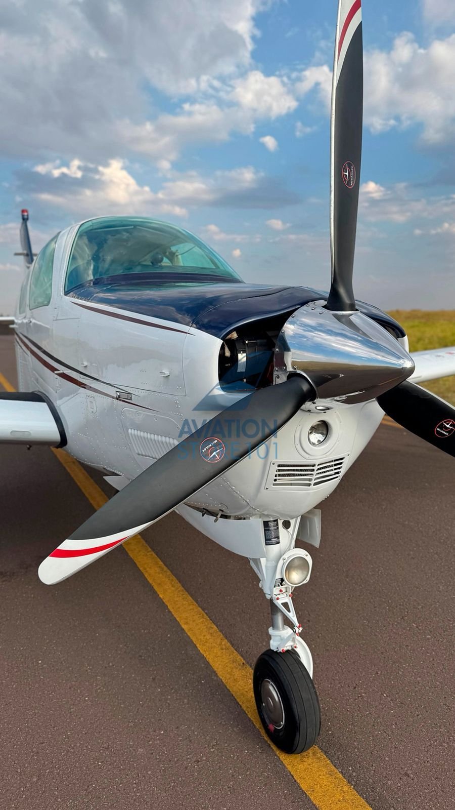 BEECHCRAFT BONANZA A36 1989