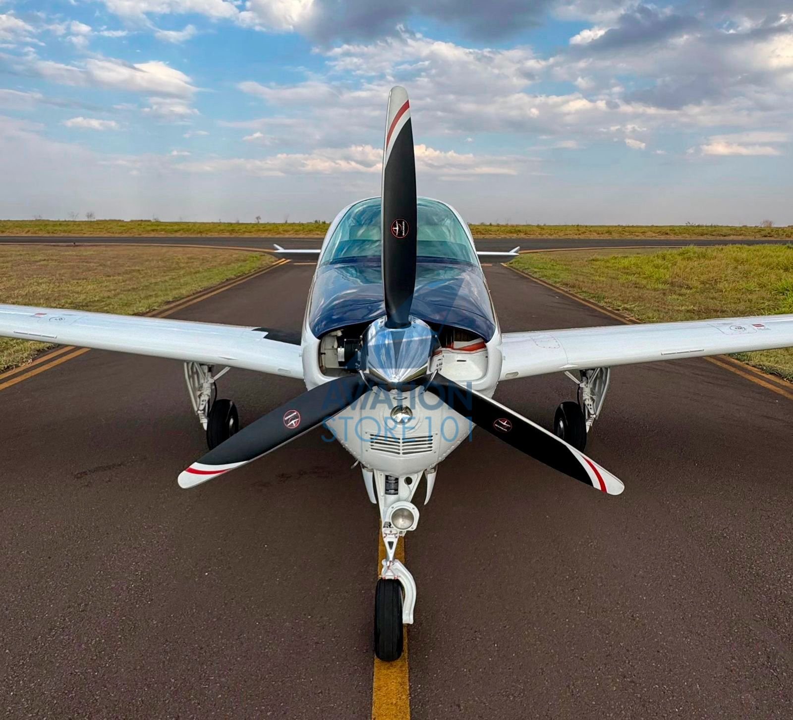 BEECHCRAFT BONANZA A36 1989