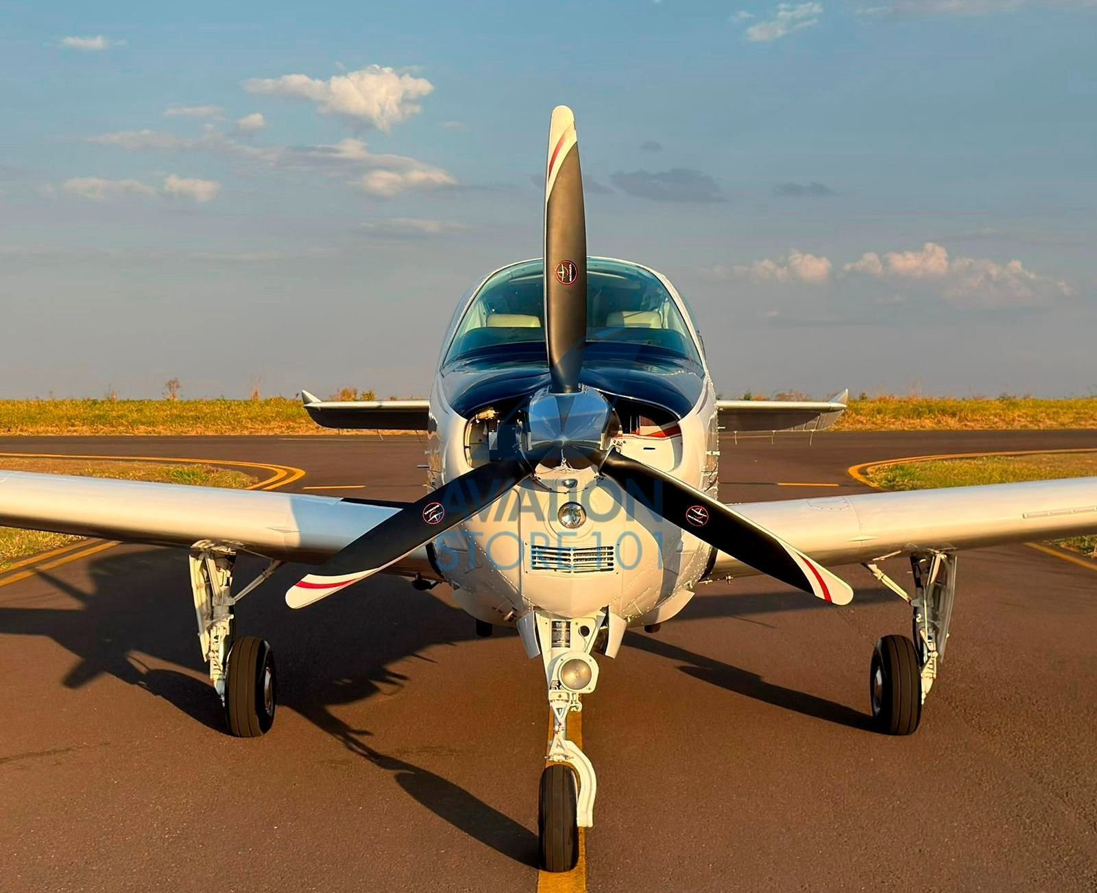 BEECHCRAFT BONANZA A36 1989