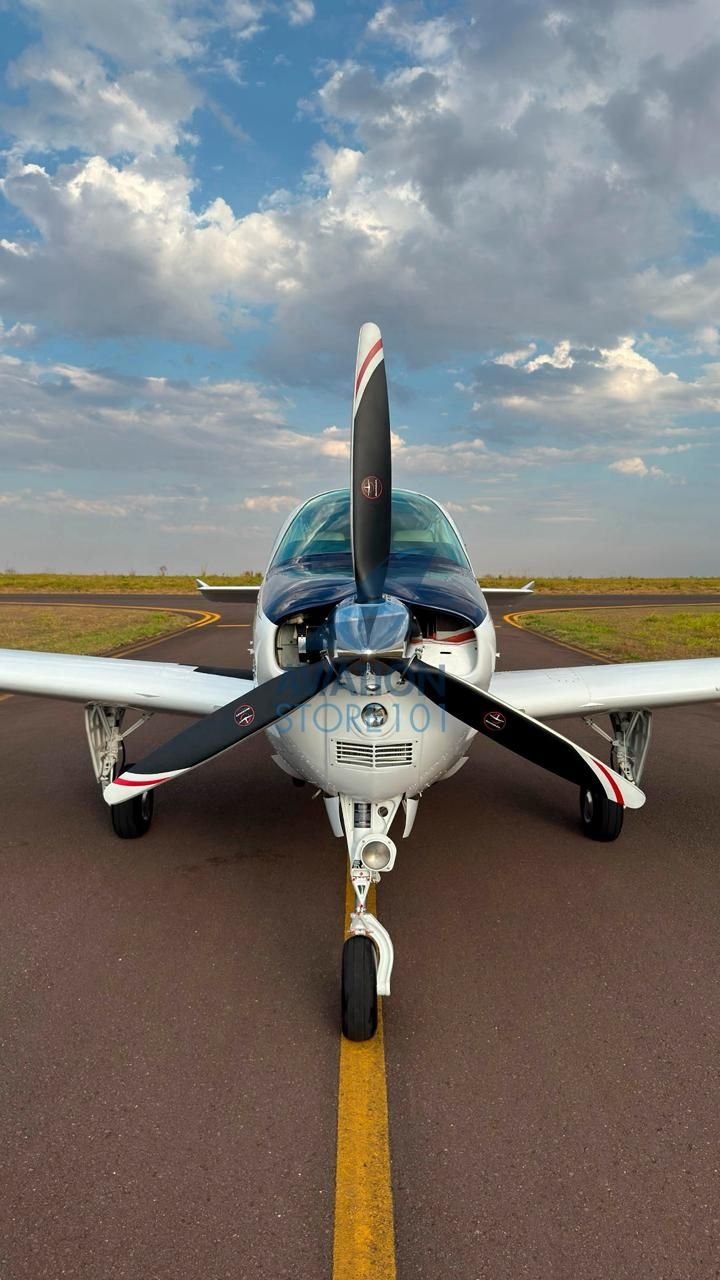 BEECHCRAFT BONANZA A36 1989