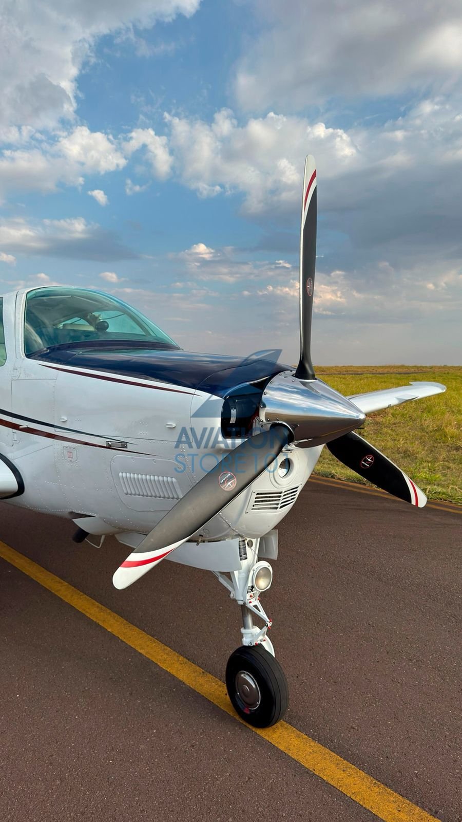BEECHCRAFT BONANZA A36 1989