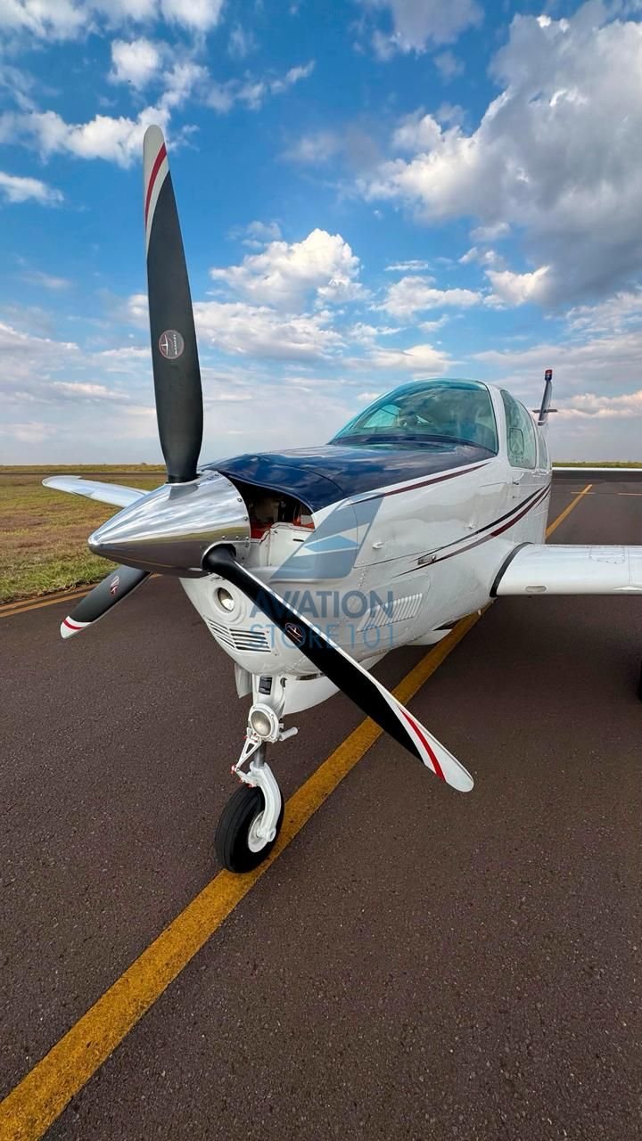 BEECHCRAFT BONANZA A36 1989