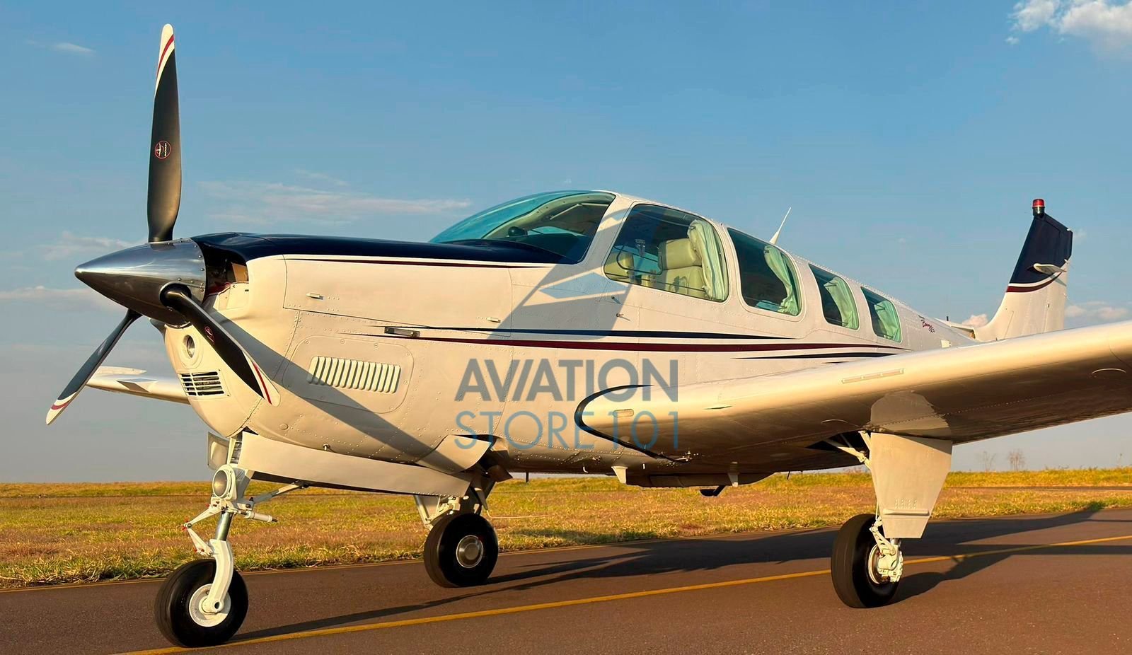 BEECHCRAFT BONANZA A36 1989