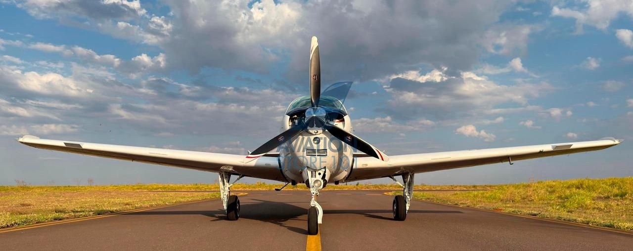 BEECHCRAFT BONANZA A36 1989