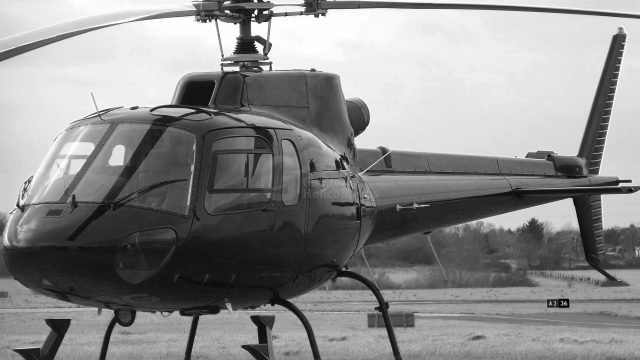 ESQUILO AS350 B2 2008