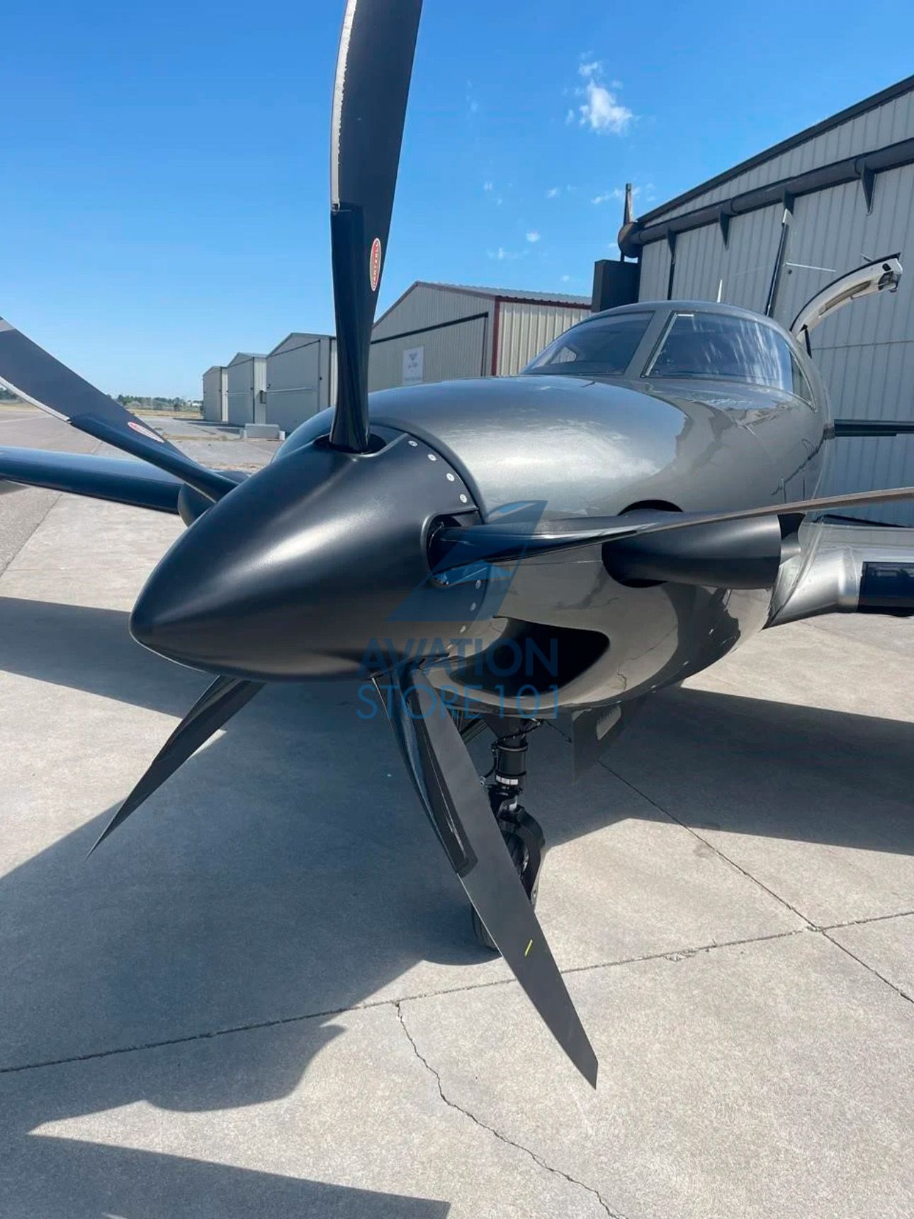 PIPER M600 SLS 2022