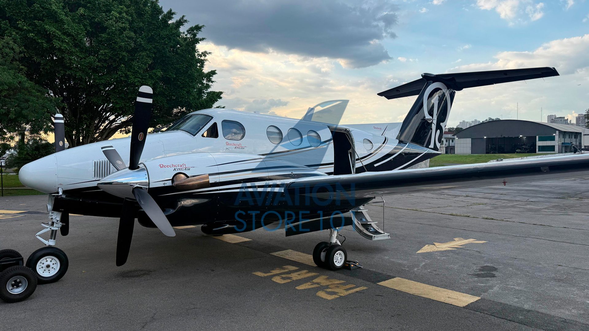 BEECHCRAFT KING AIR F90 BLACKHAW 1981