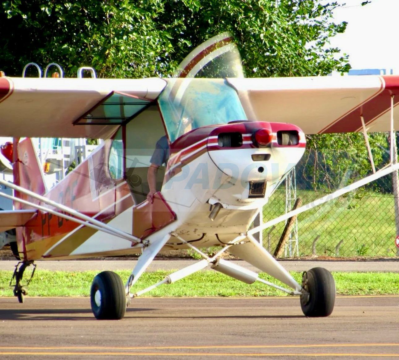 PIPER PA-11 1946 (Homologado)