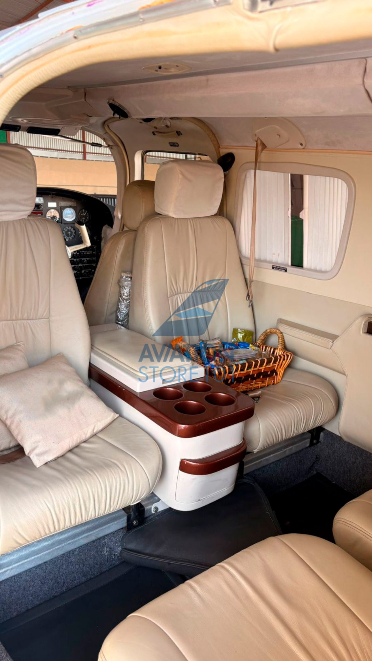 EMBRAER SENNECA III EMB-810D 1991