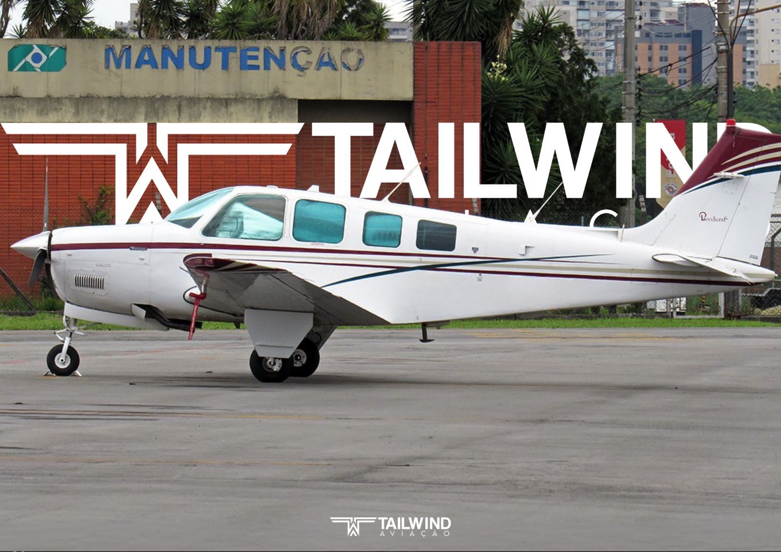 BEECHCRAFT BONANZA A36 1991