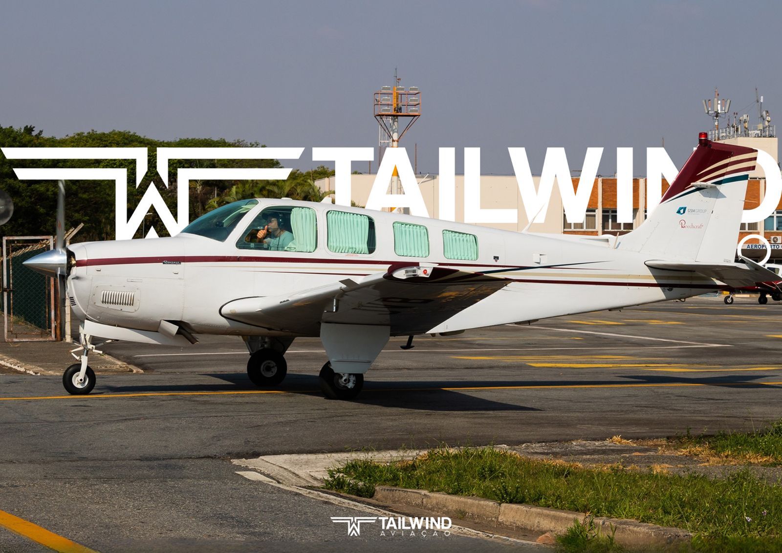 BEECHCRAFT BONANZA A36 1991