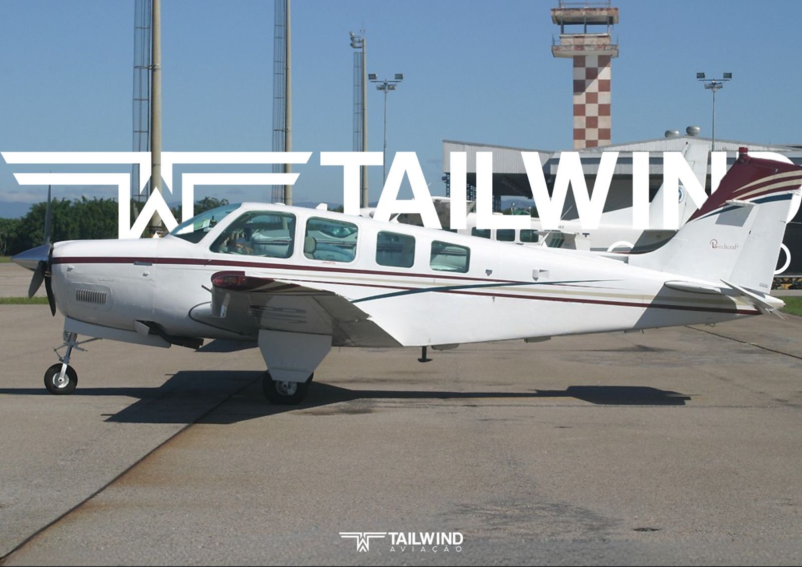 BEECHCRAFT BONANZA A36 1991