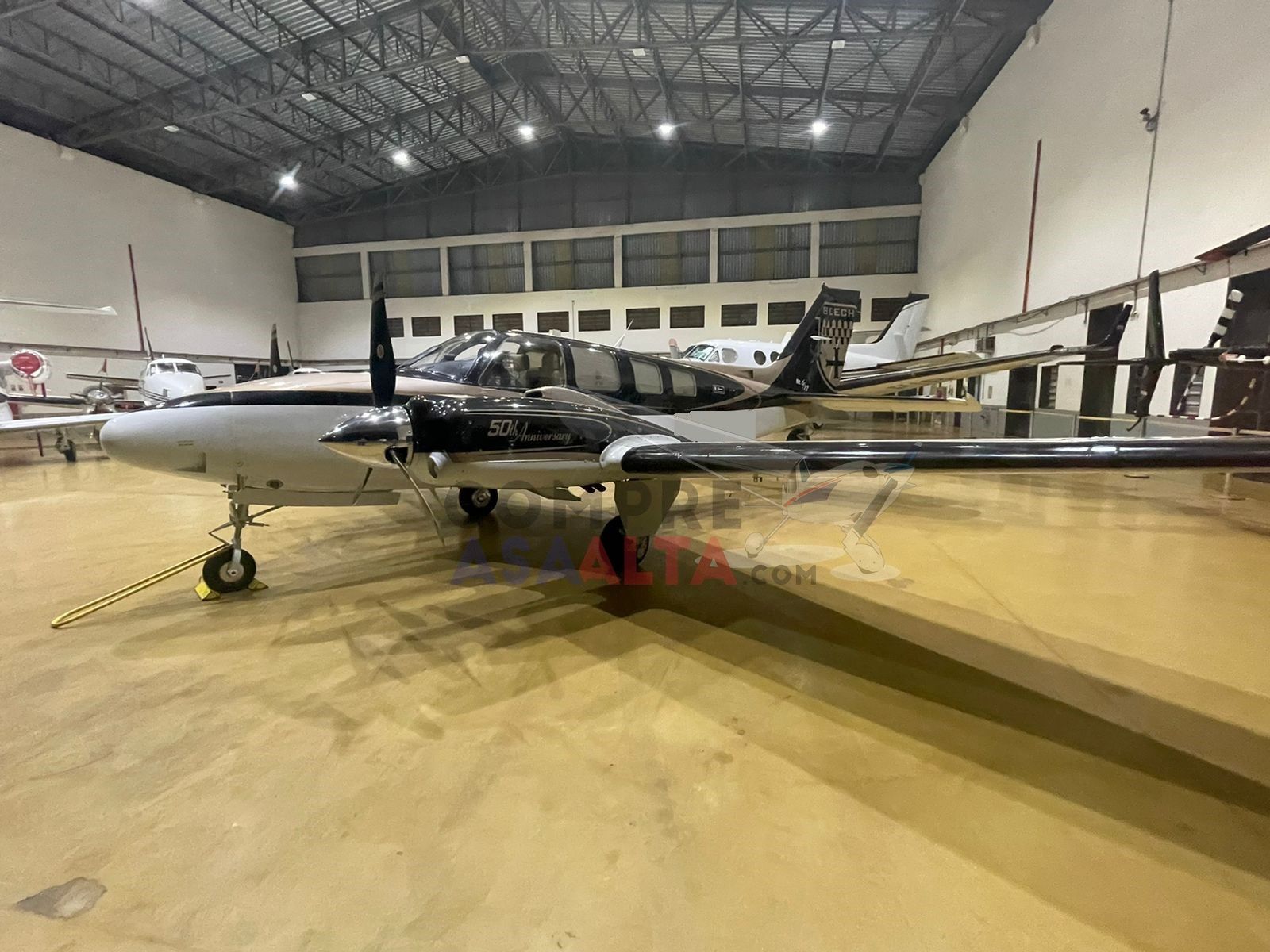 BEECHCRAFT BARON G58 2010