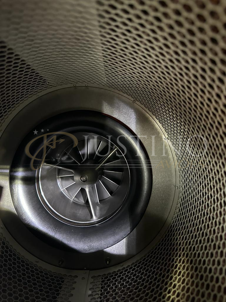 ROBINSON R66 2020