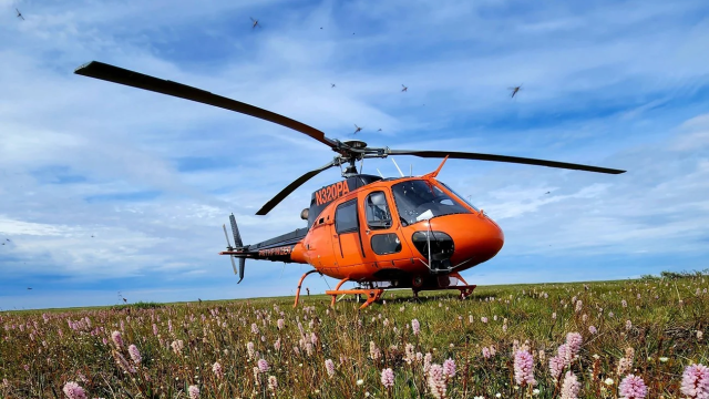 EUROCOPTER AS350 B2 2001