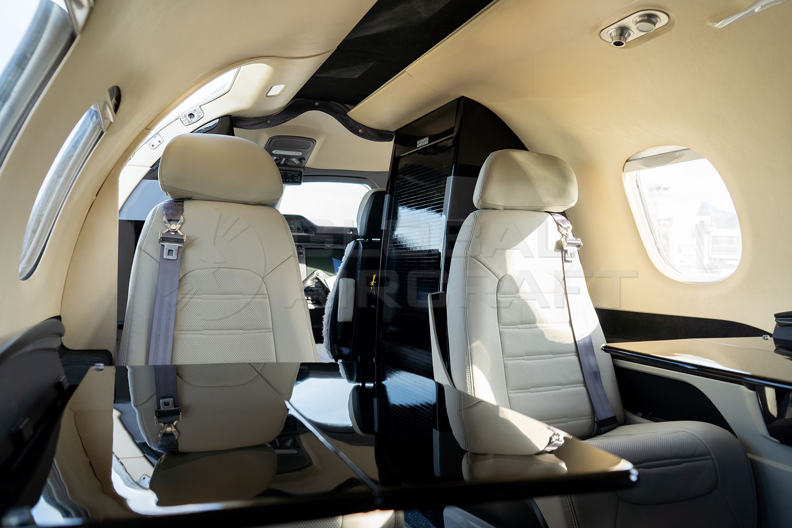 EMBRAER PHENOM 100 2009