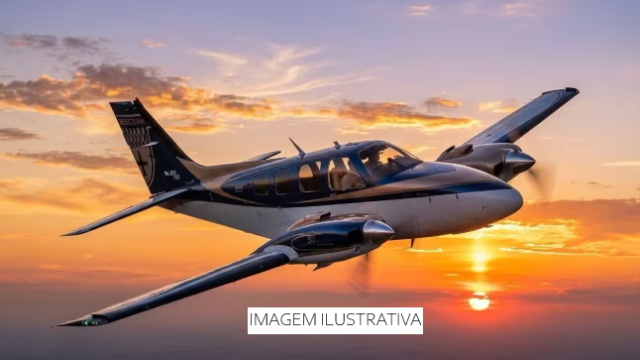 BARON G58 50th EDITION 2010