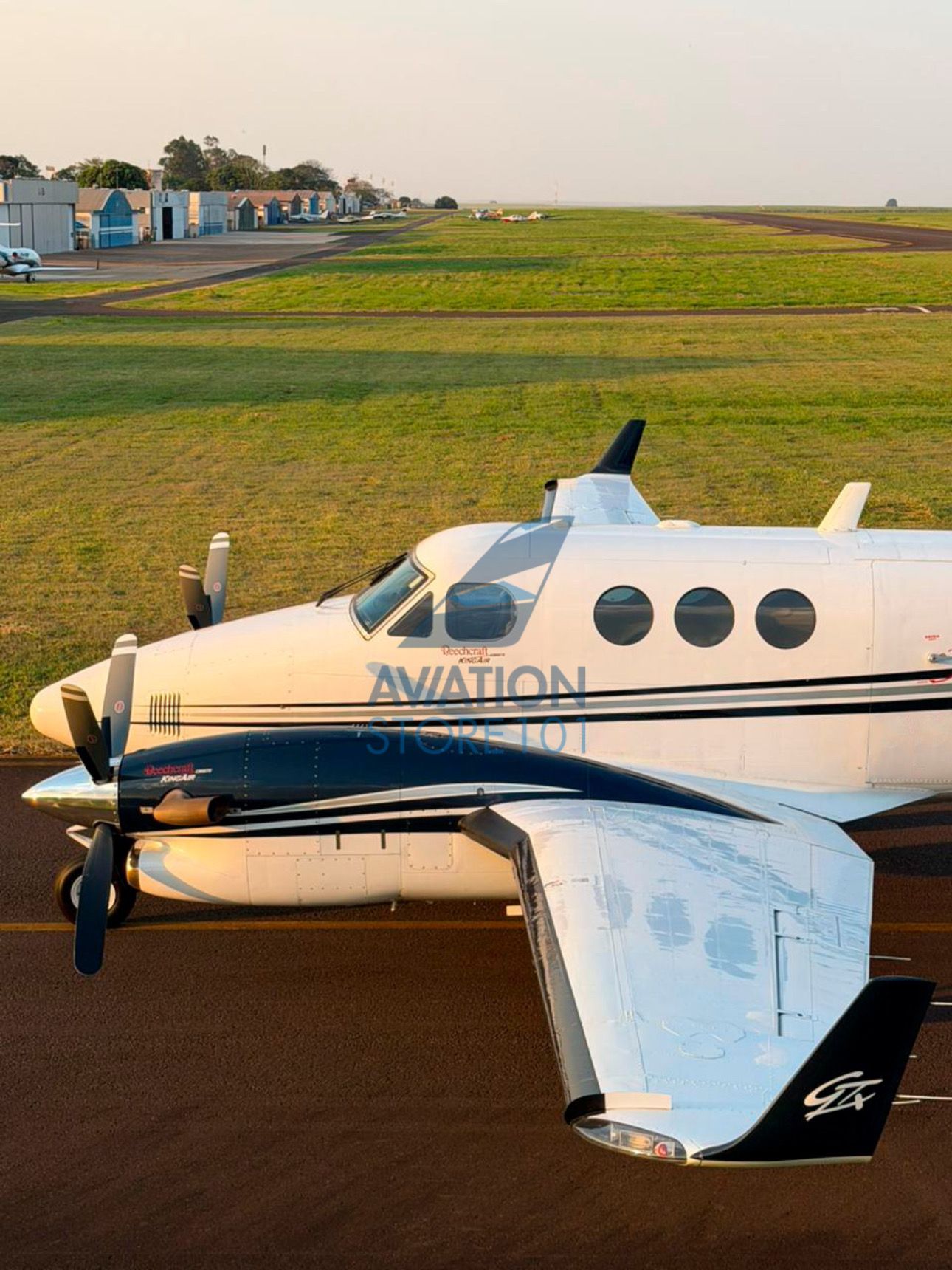 BEECHCRAFT KING AIR C90GTX 2010 — foto 21 de 23