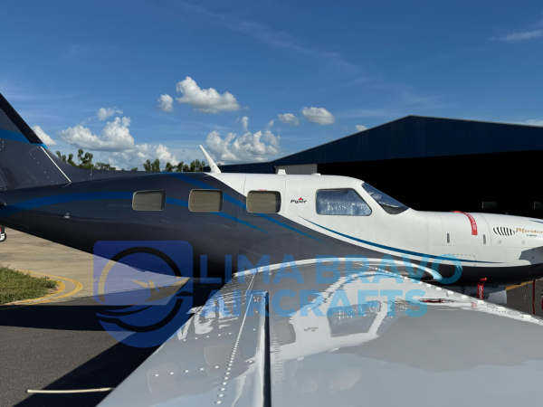 PIPER MERIDIAN  2009