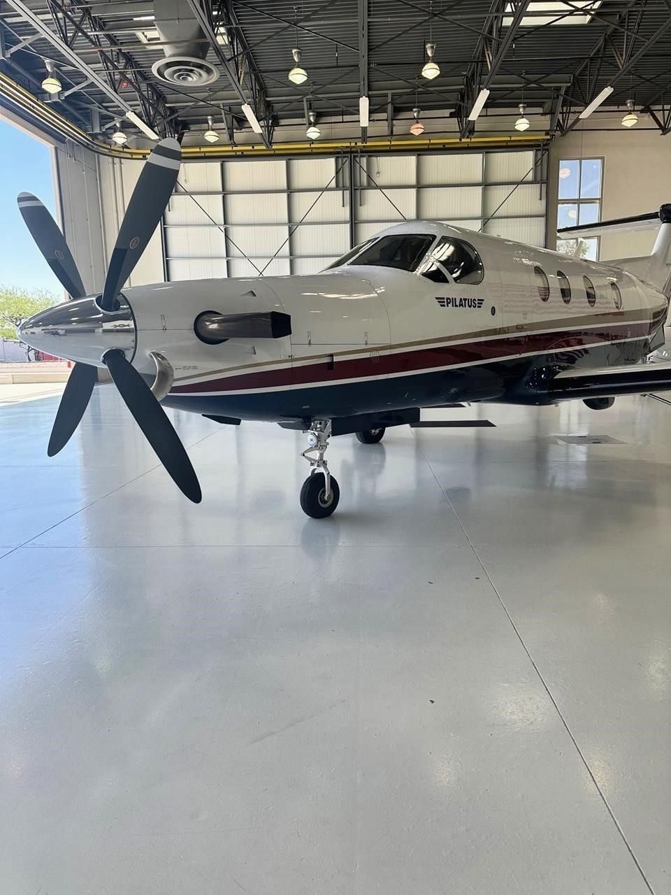 PILATUS PC-12 NG 2008 PILATUS PC-12 NG 2008