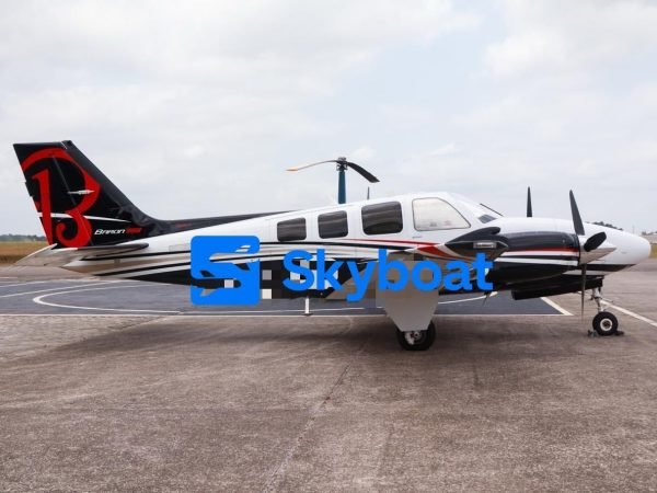 BEECHCRAFT BARON G58 2019