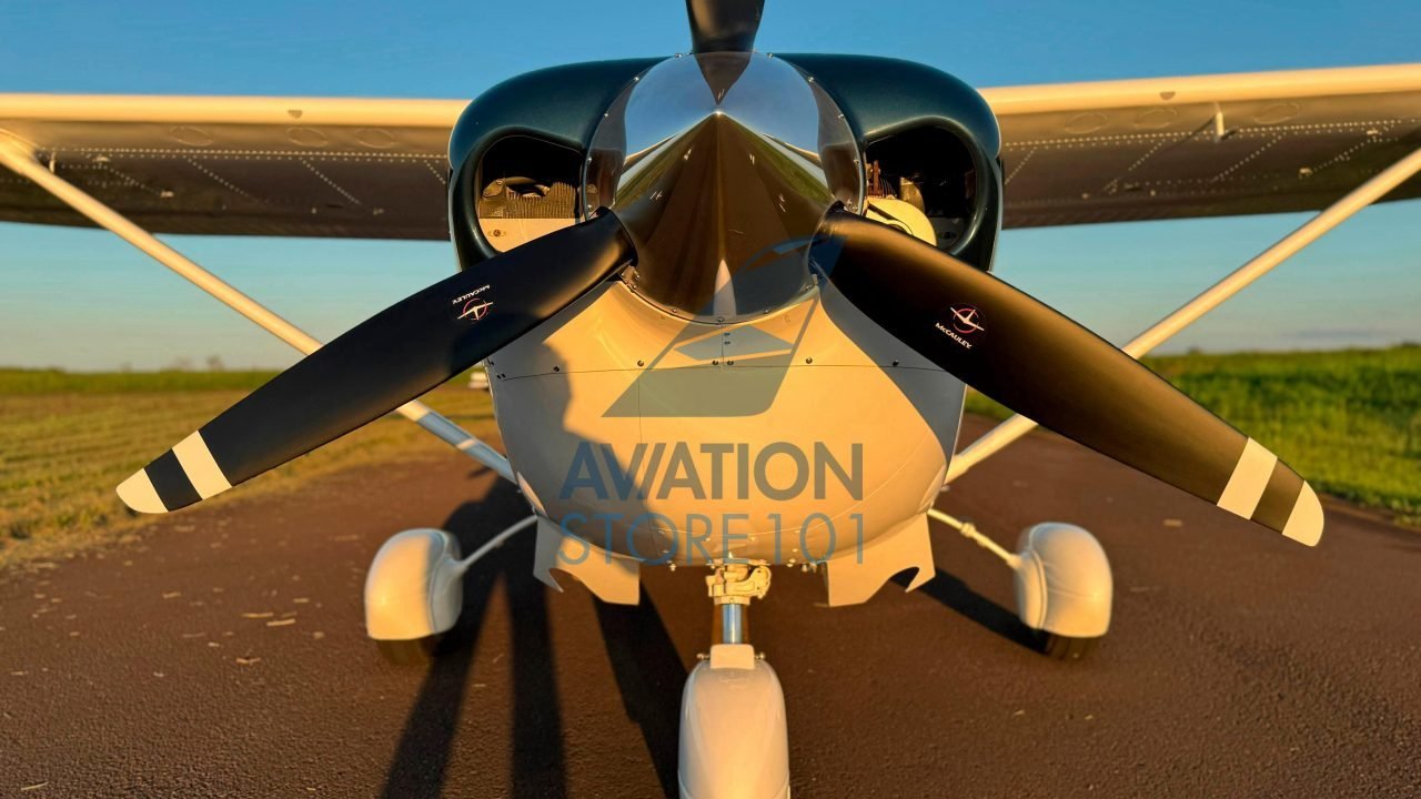 CESSNA 206H 2007 CESSNA 206H 2007