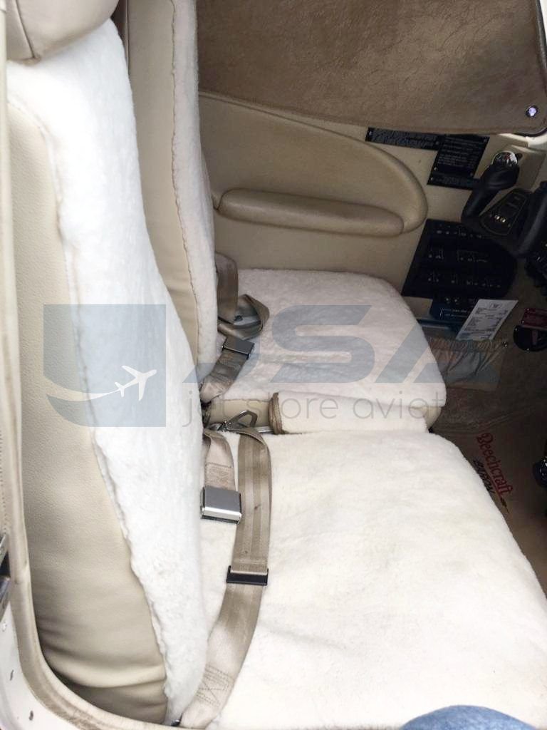 BEECHCRAFT BARON G58 2009 BEECHCRAFT BARON G58 2009