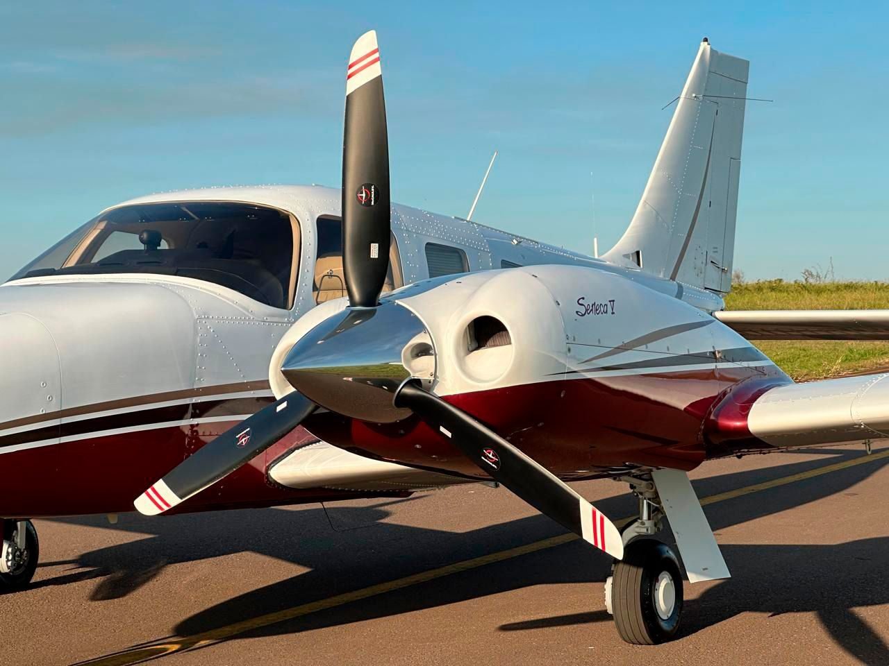 PIPER SENECA V 2009
