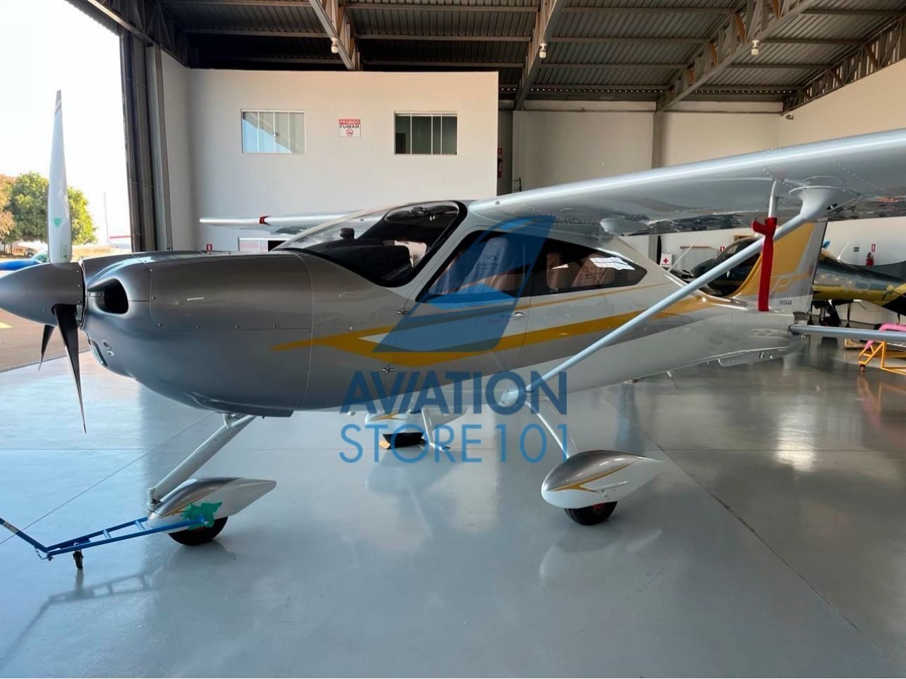 TECNAM P2010 TDI 2023 TECNAM P2010 TDI 2023