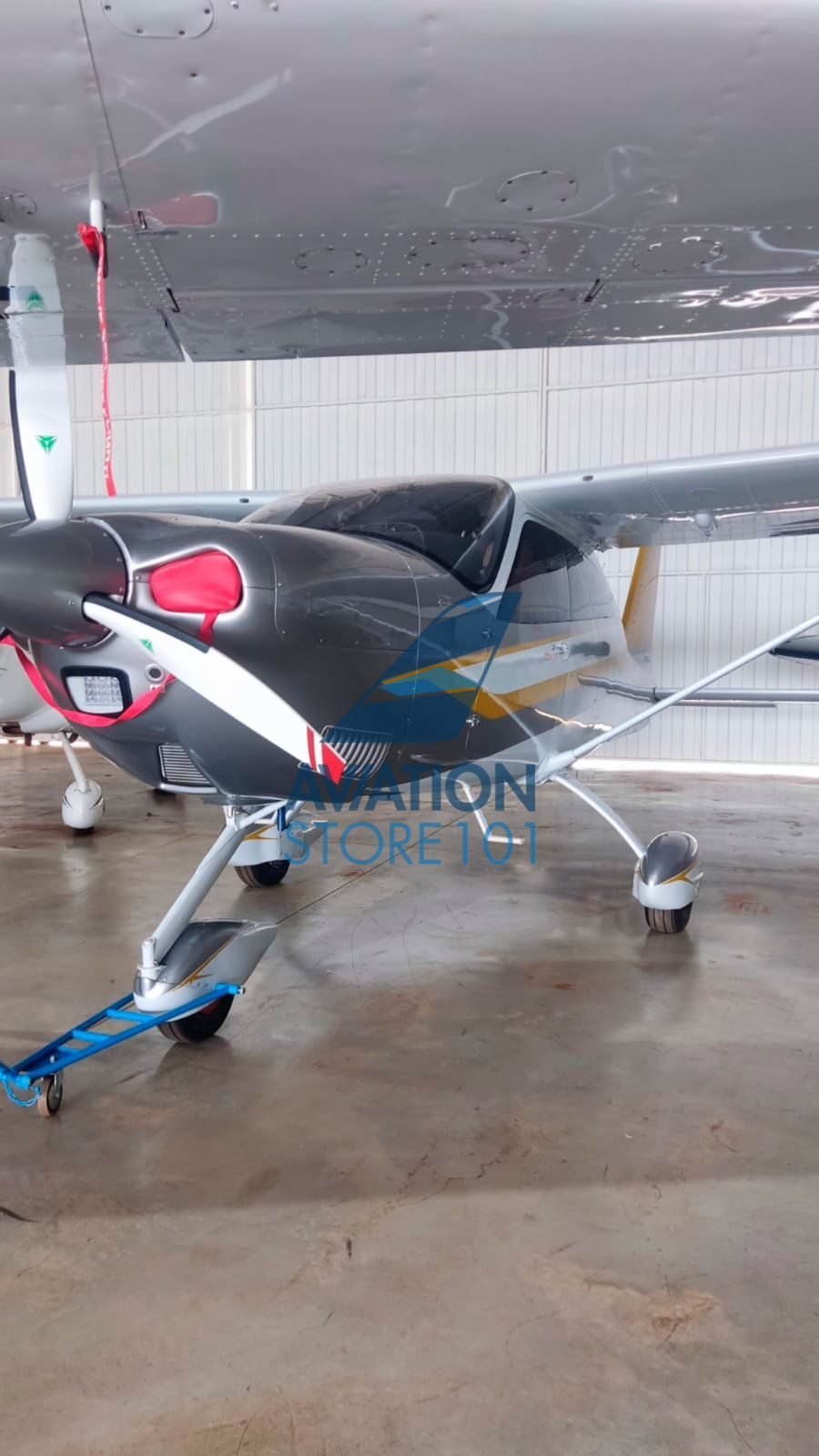 TECNAM P2010 TDI 2023 TECNAM P2010 TDI 2023